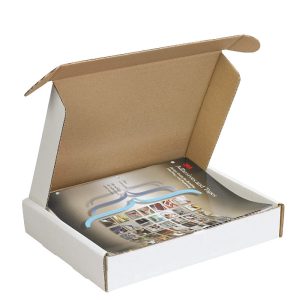 Hộp carton nắp gài 3 lớp Trắng Nâu 1