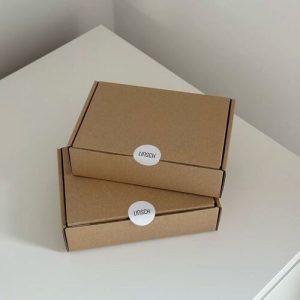 Hộp carton nắp gài 3 lớp size 10