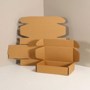 Hộp carton nắp gài 3 lớp size 10 1