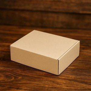 Hộp carton nắp gài 3 lớp size 10 3