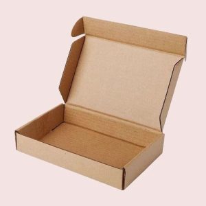 Hộp carton nắp gài 3 lớp size 22 2
