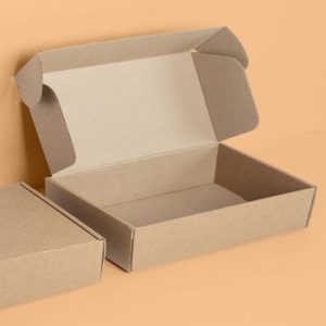 Hộp carton nắp gài 3 lớp size 22 3