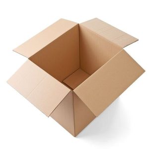 Thùng carton nắp đối 3 lớp size 20 1