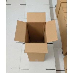 Thùng carton nắp đối 3 lớp size 22 1