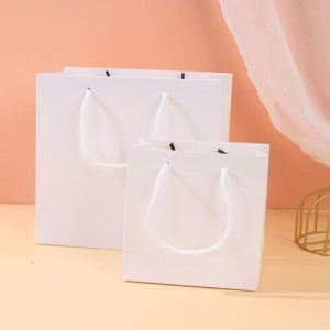 Túi giấy Ivory trắng C01 1