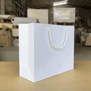 Túi giấy Ivory trắng C01 3