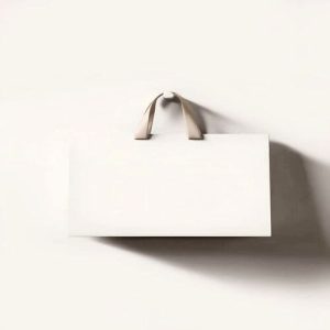 Túi giấy Ivory trắng C03 1