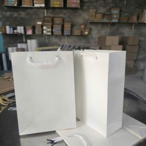 Túi giấy Ivory trắng C03 2