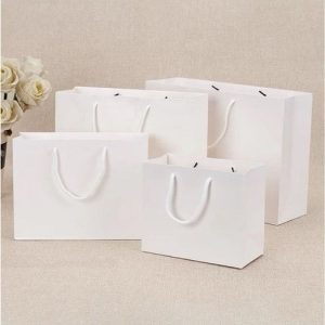 Túi giấy Ivory trắng C06