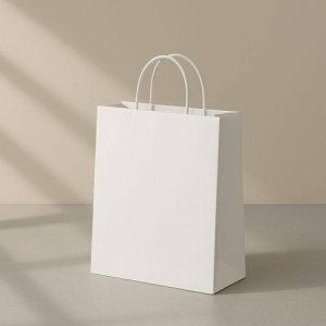 Túi giấy Ivory trắng C07 1