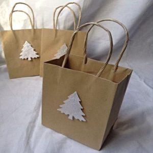 Túi giấy kraft nâu HV5 1