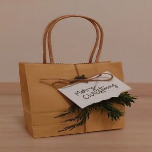 Túi giấy kraft nâu M09 2