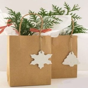 Túi giấy kraft nâu N15 1