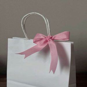 Túi giấy kraft trắng B02 1