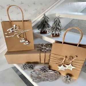 Túi giấy kraft trắng M04