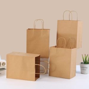 Túi giấy kraft trắng M04 1