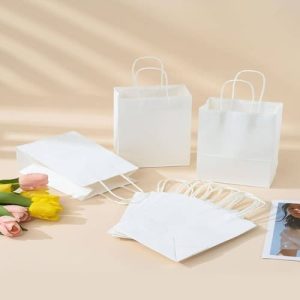 Túi giấy kraft trắng M05