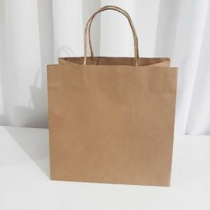 Túi giấy kraft trắng M07 1