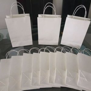 Túi giấy kraft trắng M09 1