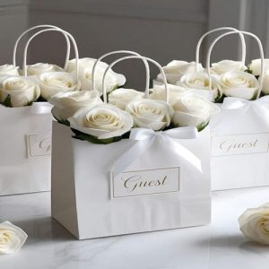 Túi giấy kraft trắng M16C 3